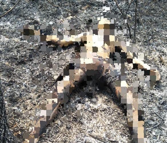 Geger Mayat Terbakar di Gunung Kupang 